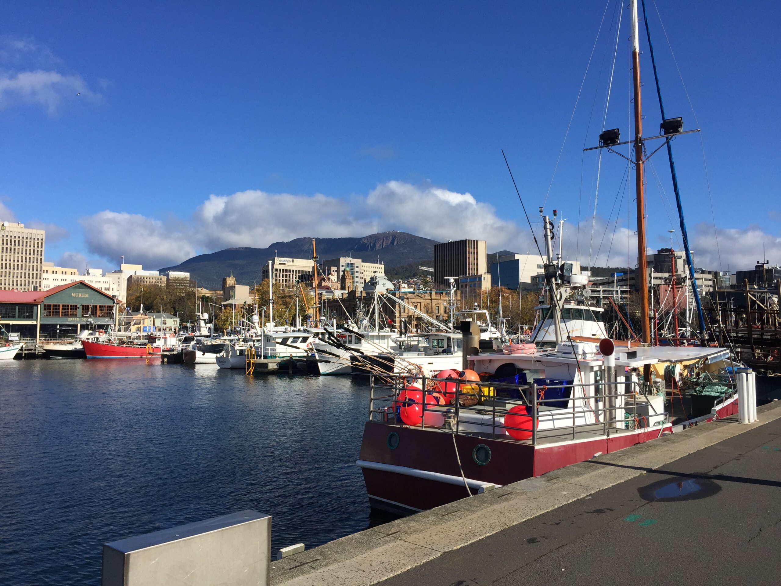 Hobart waterfront boats with kunanyi rising behind the city