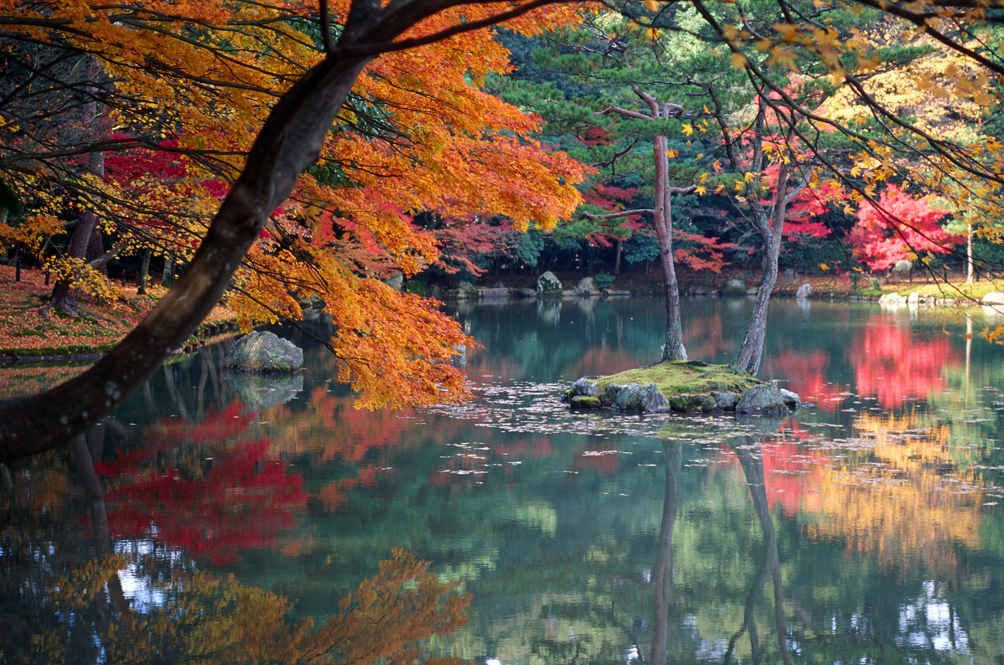 Autumn foliage reflected in a Kyoto garden pond