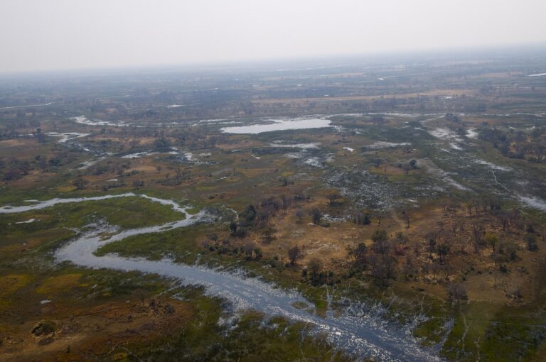 Okavango planning without wildlife promises: season, transfers and operator questions