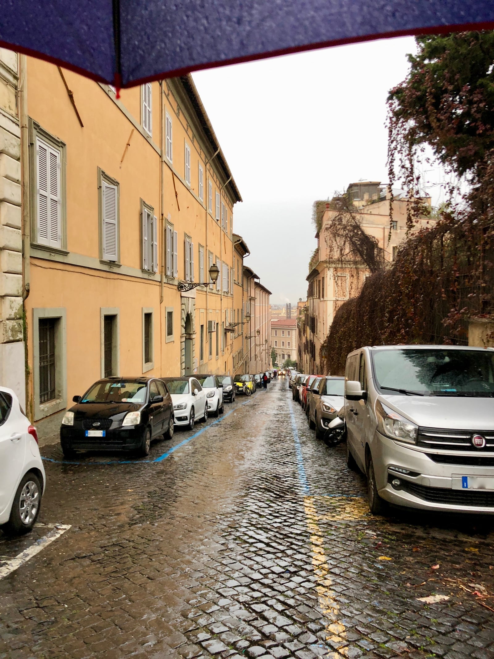 A wet cobbled street in Rome seen from beneath an umbrella, with ochre buildings and parked cars