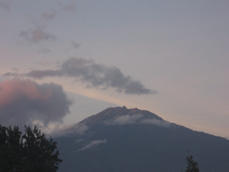 Arusha before safari: what to settle before the early departure