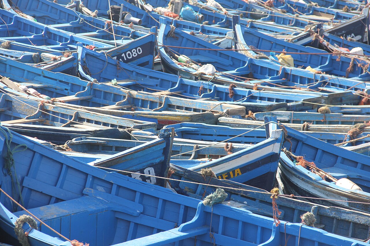Closely moored blue wooden fishing boats with ropes and nets in Essaouira harbour.