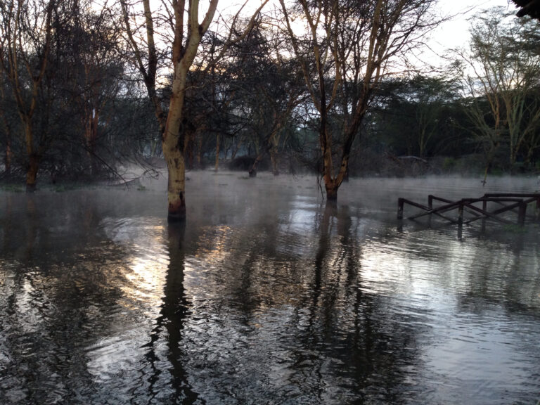 Lake Naivasha responsibly: boats, birdlife and operator questions