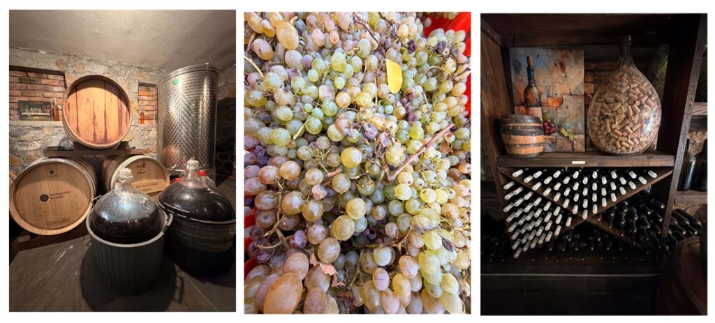 Collage of barrels and glass wine vessels, white grapes and a rack of bottles at Manastir Winery.