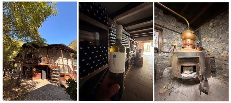 Manastir Winery in Openica: wine, traditional food and autumn near Ohrid